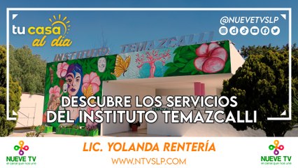Descubre los Servicios del Instituto Temazcalli