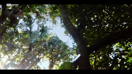 As Misteriosas Cidades Maias_Ep01-Chichen Itza