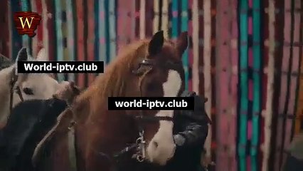 Kurulus Osman Shqip Episodi 146 Pj 2