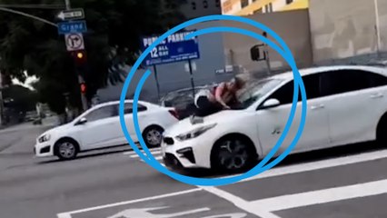 Son chien kidnappé, elle s'accroche au capot de la voiture des ravisseurs