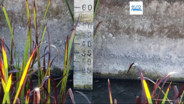 Siccità, non piove e gli invasi sono ai minimi: in Italia è emergenza idrica