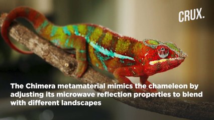 China's Stealth Innovation- 'Hybrid Camouflage' Inspired by Chameleons, Glass Frogs, and Dragons