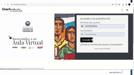 VISUALIZACIÓN DE NOTAS EN EL AULA VIRTUAL