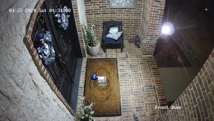 Opossum Porch Pirate