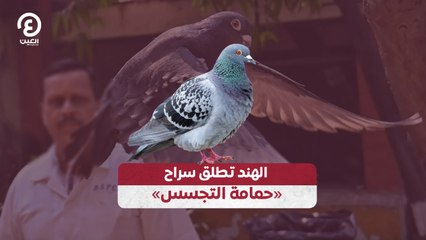 «الهند تطلق سراح «حمامة التجسس
