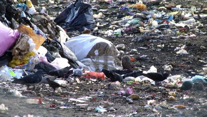 Regidora de Guadalajara pide que el SIAPA de la basura lo decida la próxima administración