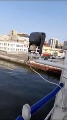 VID-20230709-WA0082
