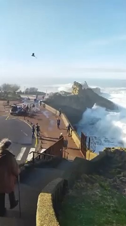 Grosse houle à #Biarritz   Du coup, pas sûr qu’amati (mamie) continue sa promenade.. Plus de peur que de mal pour les promeneurs secoués par la vague!   ️ janvier 2024  @surfingbiarritz   #mauda #tourisme #biarritz #patrimoine #balade