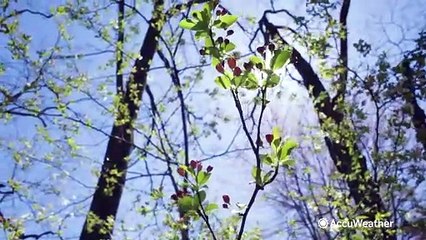 Beware of fake eclipse glasses