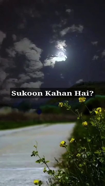 Sukoon Kahan Hai? #islam #allah #muslim #islamicquotes #quran #muslimah #allahuakbar #deen #dua #makkah #sunnah #ramadan #hijab #islamicreminders #prophetmuhammad #islamicpost #love #muslims #alhamdulillah #islamicart #jannah #instagram #muhammad #islamic