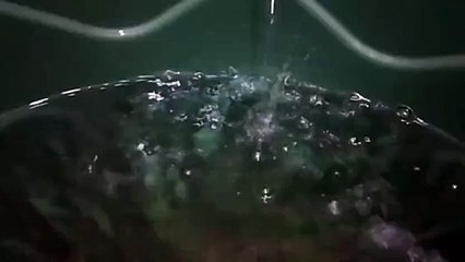 Water as the Source of Life