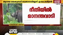 വയനാട് മാനന്തവാടിയിലിറങ്ങിയ കാട്ടാന ജനവാസ മേഖലയിൽ തുടരുന്നു