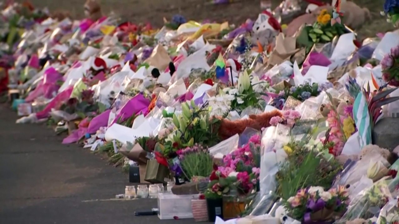 Jumping castle operator pleads not guilty over disaster video Dailymotion