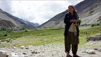 Vie nomade au Ladakh