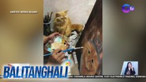 2 Persian cats, chill habang nag-mo-model para sa isang painting | BT