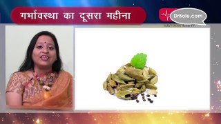 Pregnancy का दूसरा महीना परेशानियां और उनके उपचार _ Hindi Health Tips