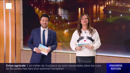Pauline Pioche sur BFM (02/02/2024)