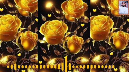 قرآن كريم تهز القلوب يبكي العيون