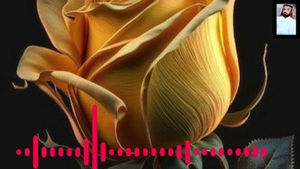 قرآن صوت يحرك القلوب ويبكي العيون