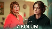 Sandık Kokusu 7. Bölüm