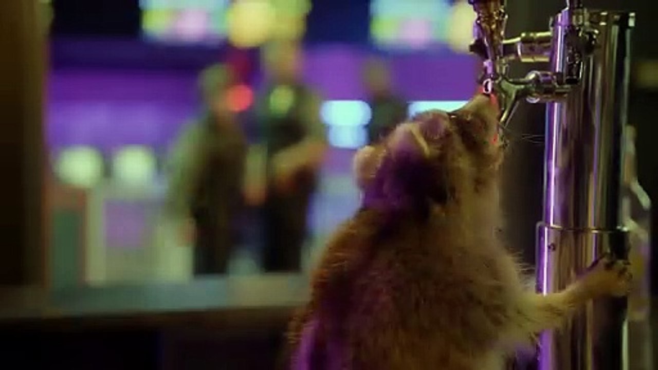 Animal Control - staffel 2 Trailer OV