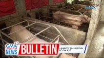 Bureau of Animal Industry: mga baboy sa 3 bayan sa Occidental Mindoro, negatibo sa ASF | GMA Integrated News Bulletin