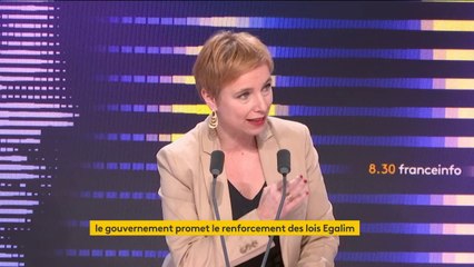 Pause du plan Ecophyto : "C'est la folie totale sur le plan écologique", dénonce Clémentine Autain, députée LFI de Seine-Saint-Denis.