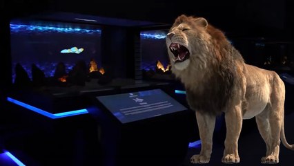 AOÇ ‘Dijital Hayvanat Bahçesi’ kapılarını açıyor