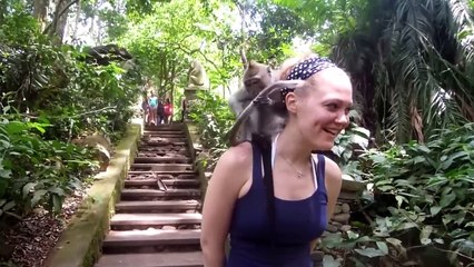 Funniest Animal Attacks Caught on Tape!