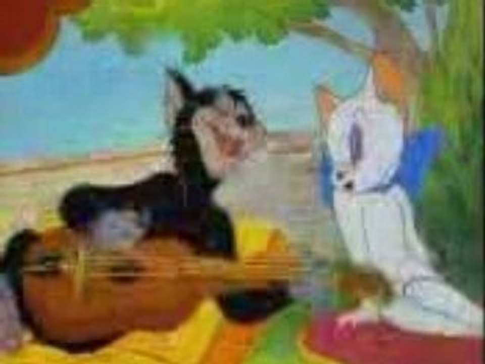 Tom jerry tebessa