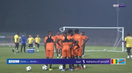 AR 01 DRC Guinea VT Overview