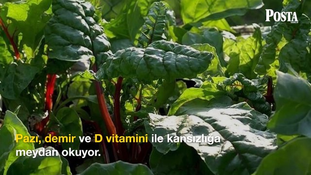 Ömrü uzatan bu besinin demeti 30 lira! D vitamini depolarını tıka basa dolduruyor