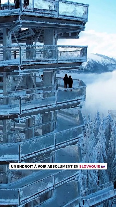 Une randonnée dans les arbres 