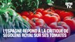“Tomates immangeables”: le Premier ministre espagnol répond à la critique de Ségolène Royal