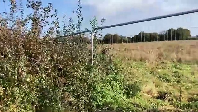 David Wilson Homes development kick starts work on over 200 homes in Frome