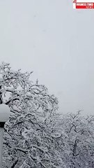 weather in murree murree snowfall 2024 | murree weather |