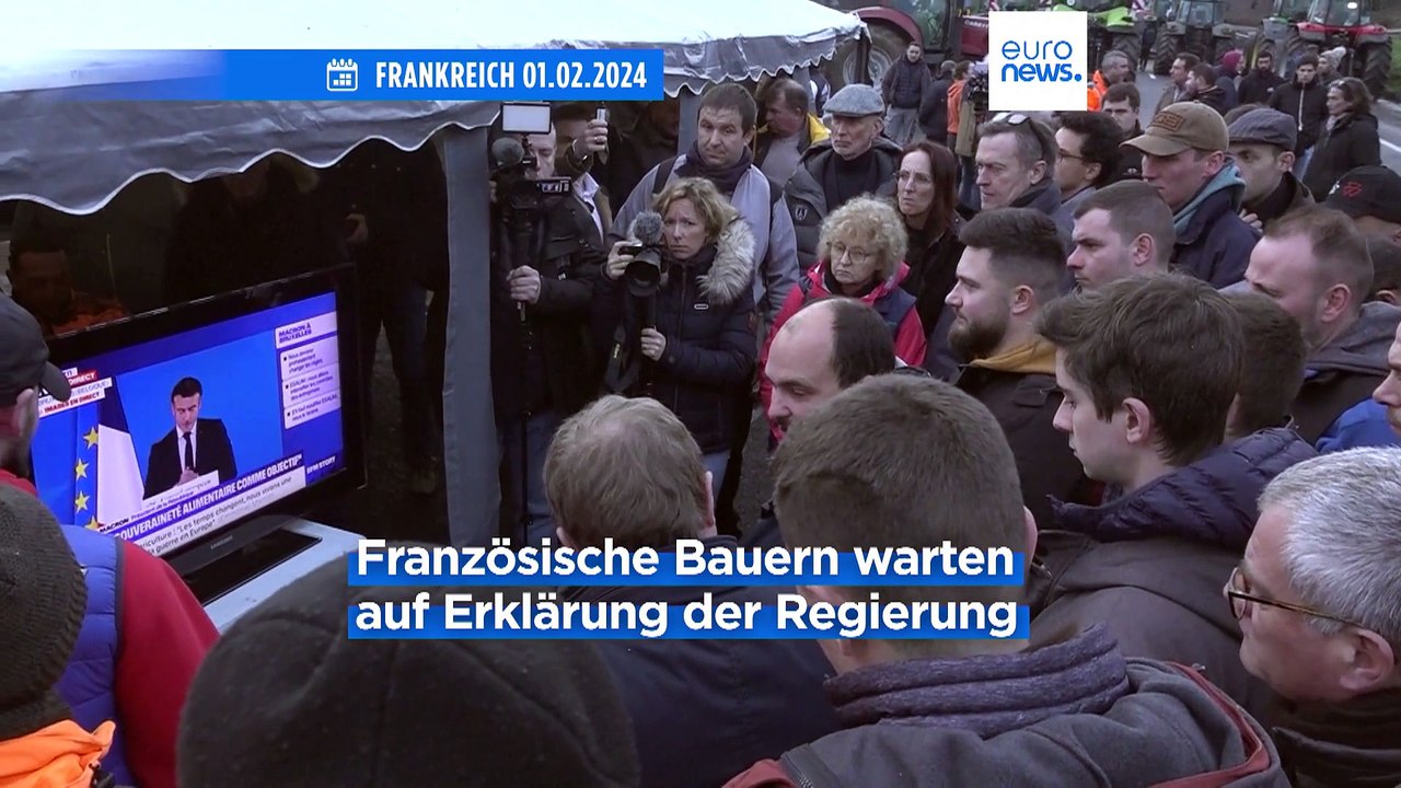 Europaweite Bauernproteste: Landwirte bewarfen EU-Parlament mit Eiern