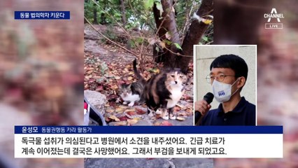 “학대 밝혀달라”…동물 부검 수의사 키운다