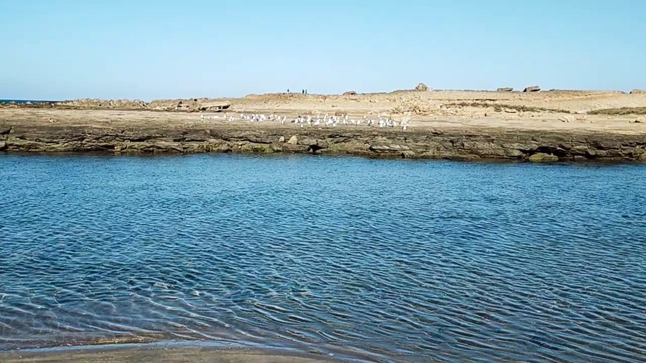 A moment of Contemplation on the Beach