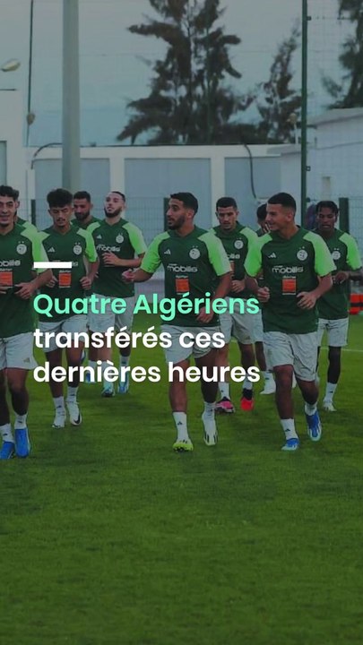 Quatre Algériens transférés ces dernières heures