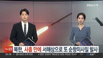 북한, 사흘 만에 서해상으로 또 순항미사일 발사