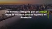 Australie : une femme attaquée par un requin dans le célèbre port de Sydney