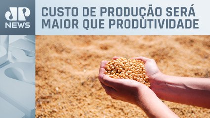 Crise da soja: agro não vai fechar a conta em 2024