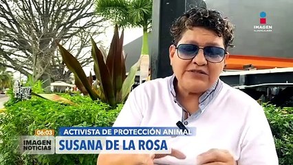 Hombre arrastra y mata a su perro en Colima