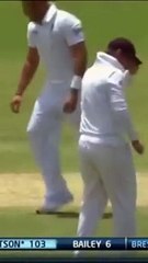 1 Bowl - Dropped Catch and a Runout on a same ball | Shane Watson Funny (Comedy) #cricketfails