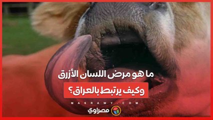 ما هو مرض 'اللسان الأزرق' وكيف يرتبط بالعراق؟