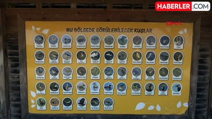 Kızılırmak Deltası Kuş Cenneti'ni 2023 Yılında 100 Bin Kişi Ziyaret Etti