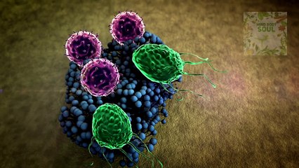 Candida Auris (Unveiling the Threat of Drug-Resistant Fungi)