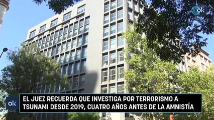 El juez recuerda que investiga por terrorismo a Tsunami desde 2019, cuatro años antes de la amnistía
