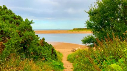 Pamela Storch - Winter Adagio (Official 4K Music Video)